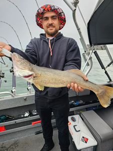 Lake Erie's finest walleye catches